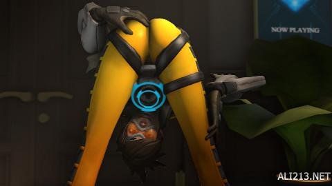 确保周琦的 确保周琦的