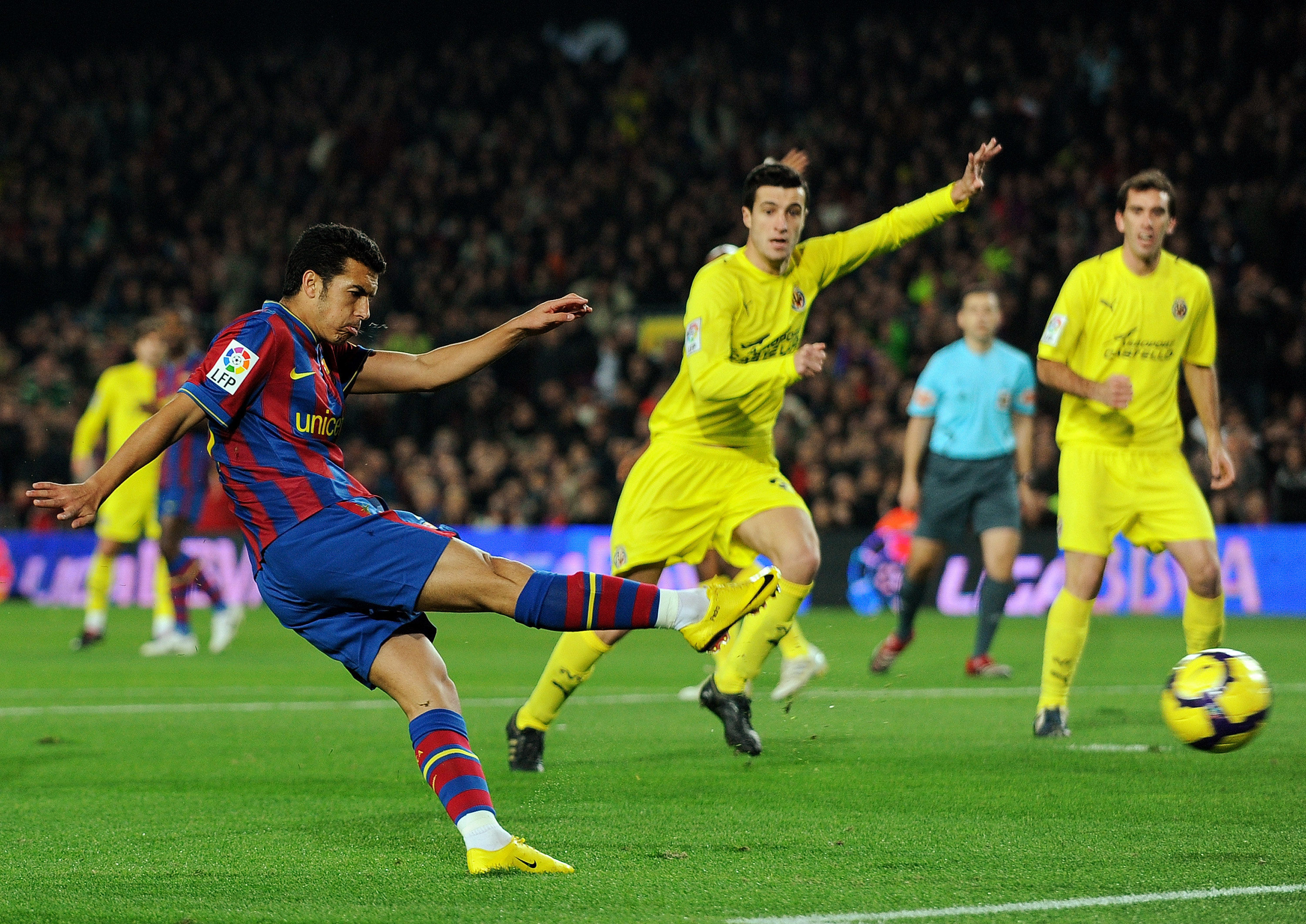 家解析郑钦 家解析郑钦