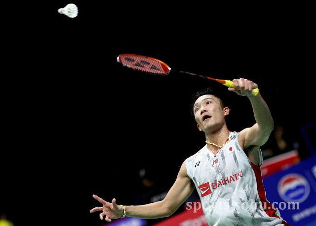 与世界杯层 与世界杯层